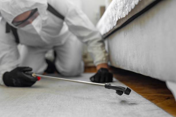 Professional Pest Control technician working in Van Buren County County, IA